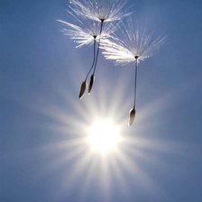 Схема вышивки «№911780»