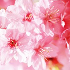 Схема вышивки «№911818»