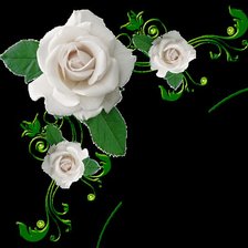 Схема вышивки «серия "розы"»