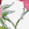 Предпросмотр схемы вышивки «серия "розы"» (№911878)