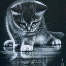 Схема вышивки «котёнок монохром»