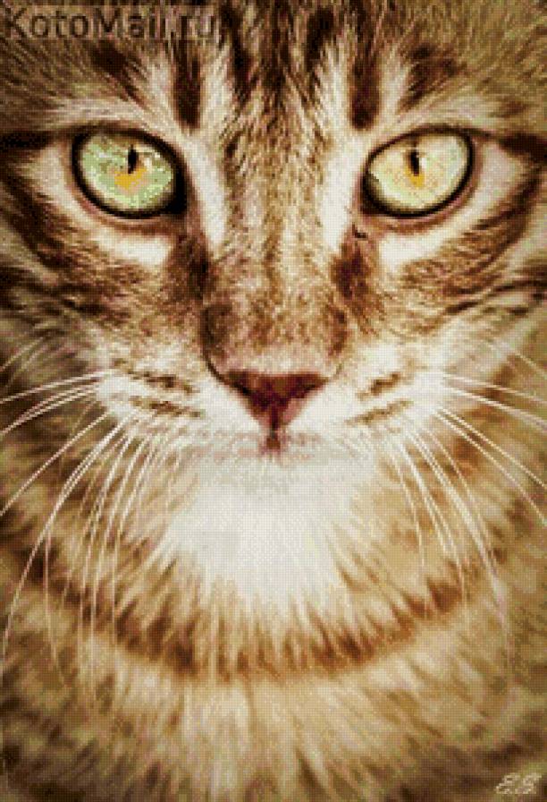 киса - предпросмотр