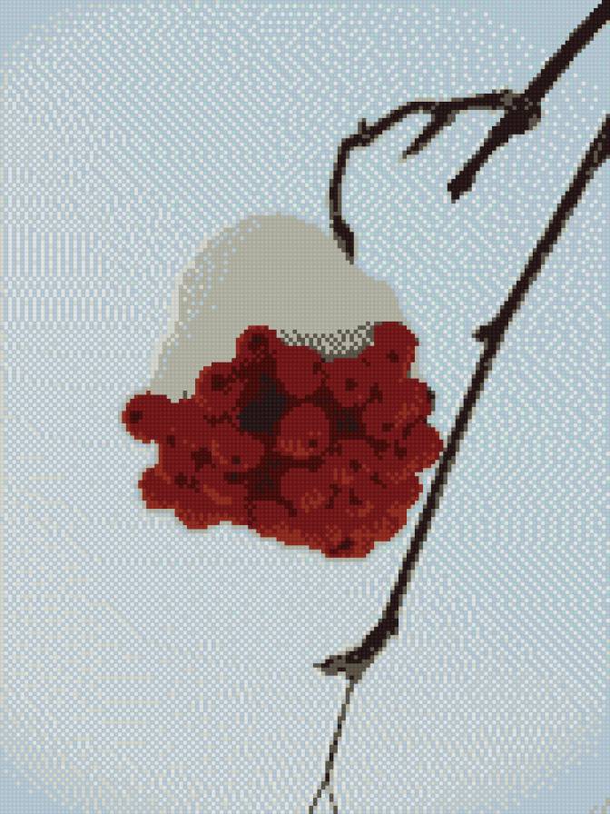 рябина - рябина - предпросмотр