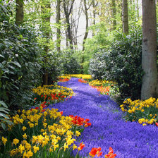 Схема вышивки «цветы»