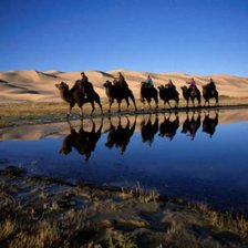 Схема вышивки «temee»