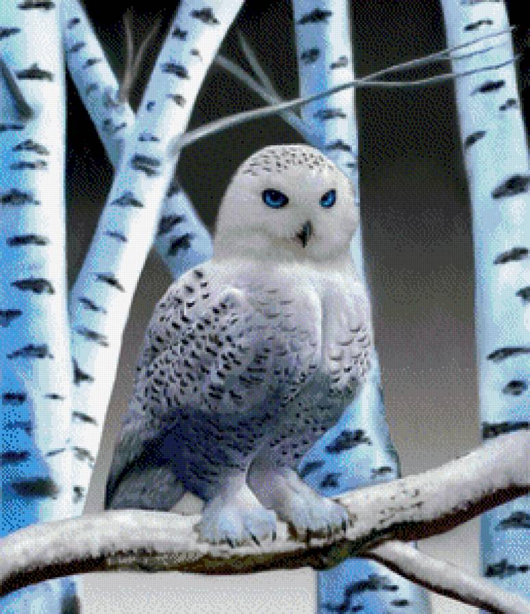 Lechuza - animales - предпросмотр