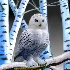 Схема вышивки «Lechuza»