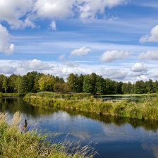 Схема вышивки «Лесная речка»