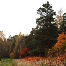 Схема вышивки «Осенний пейзаж»