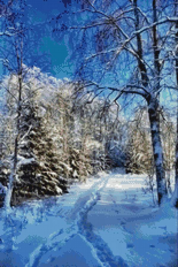 Зимний лес - природа. лес, зима, пейзаж - предпросмотр