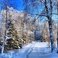 Схема вышивки «Зимний лес»