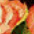 Предпросмотр схемы вышивки «розы» (№912753)