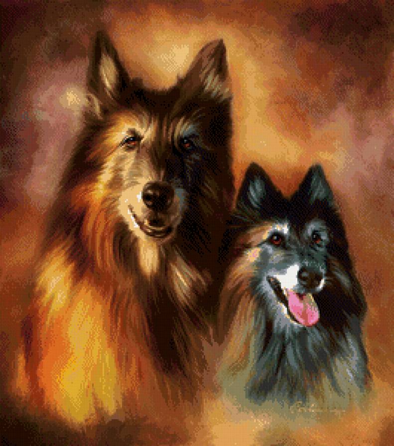 собаки - предпросмотр