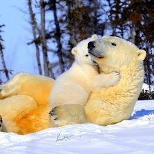 Схема вышивки «Нежность»