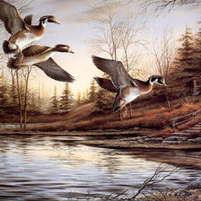 Схема вышивки «пруд»