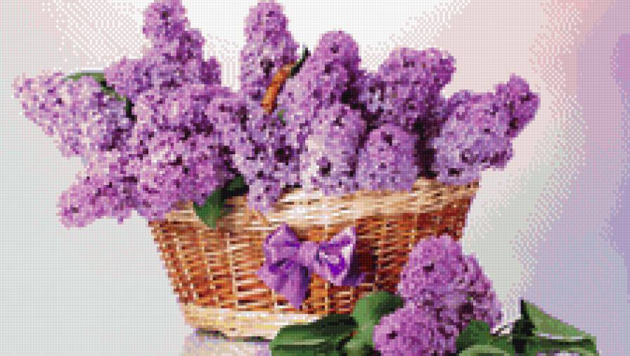 Сирень в корзине - сирень, цветы - предпросмотр
