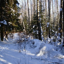 Схема вышивки «зимний лес»