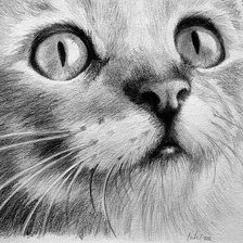 Схема вышивки «мордочка монохром»