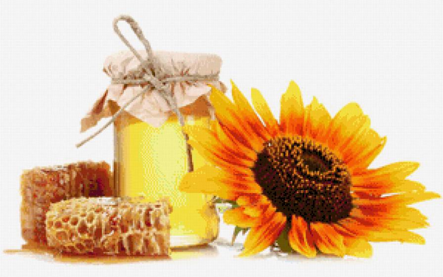 Медок - мед, цветок, натюрморт, подсолнух - предпросмотр