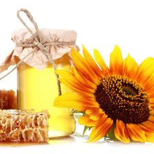 Схема вышивки «Медок»