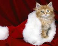 Схема вышивки «№913289»