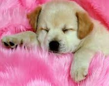 Схема вышивки «№913307»