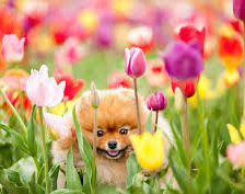 Схема вышивки «№913314»