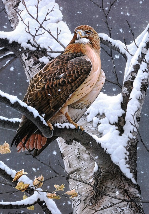 №913485 - оригинал