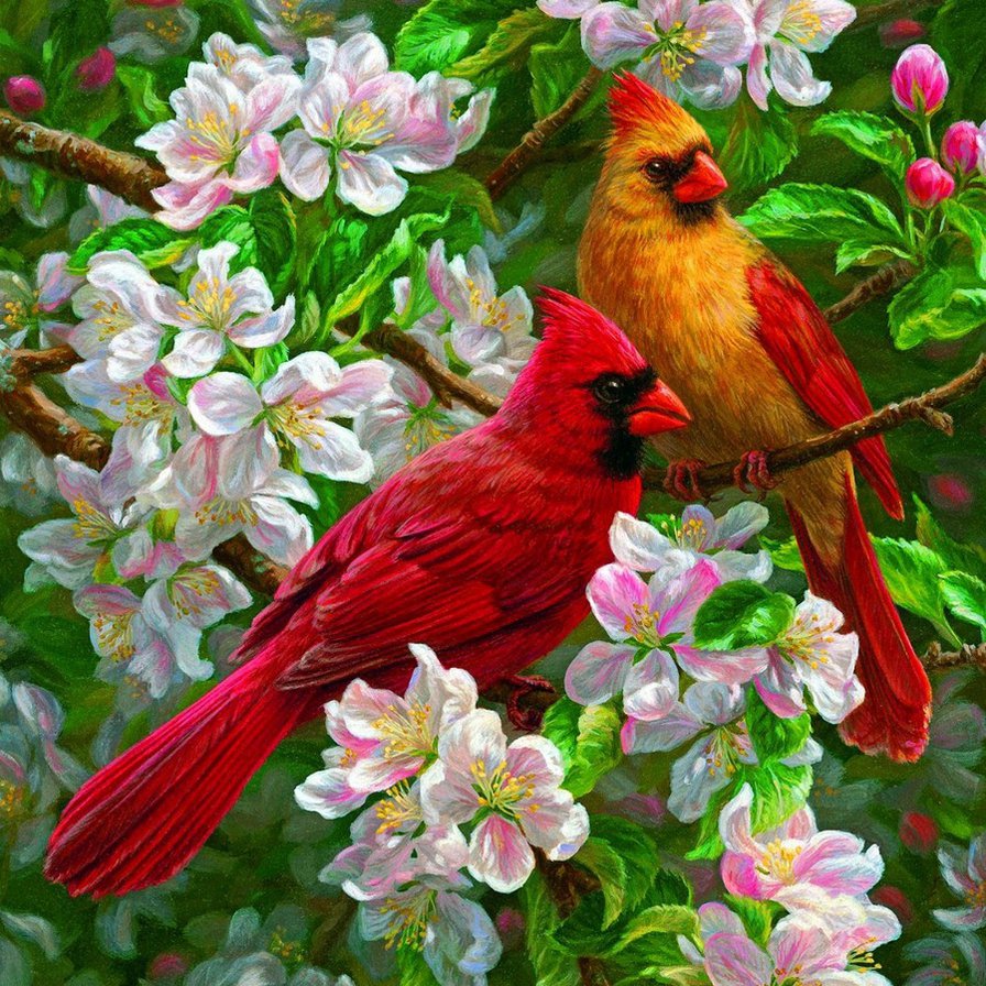 №913486 - оригинал