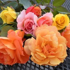 Схема вышивки «Розовый букет»