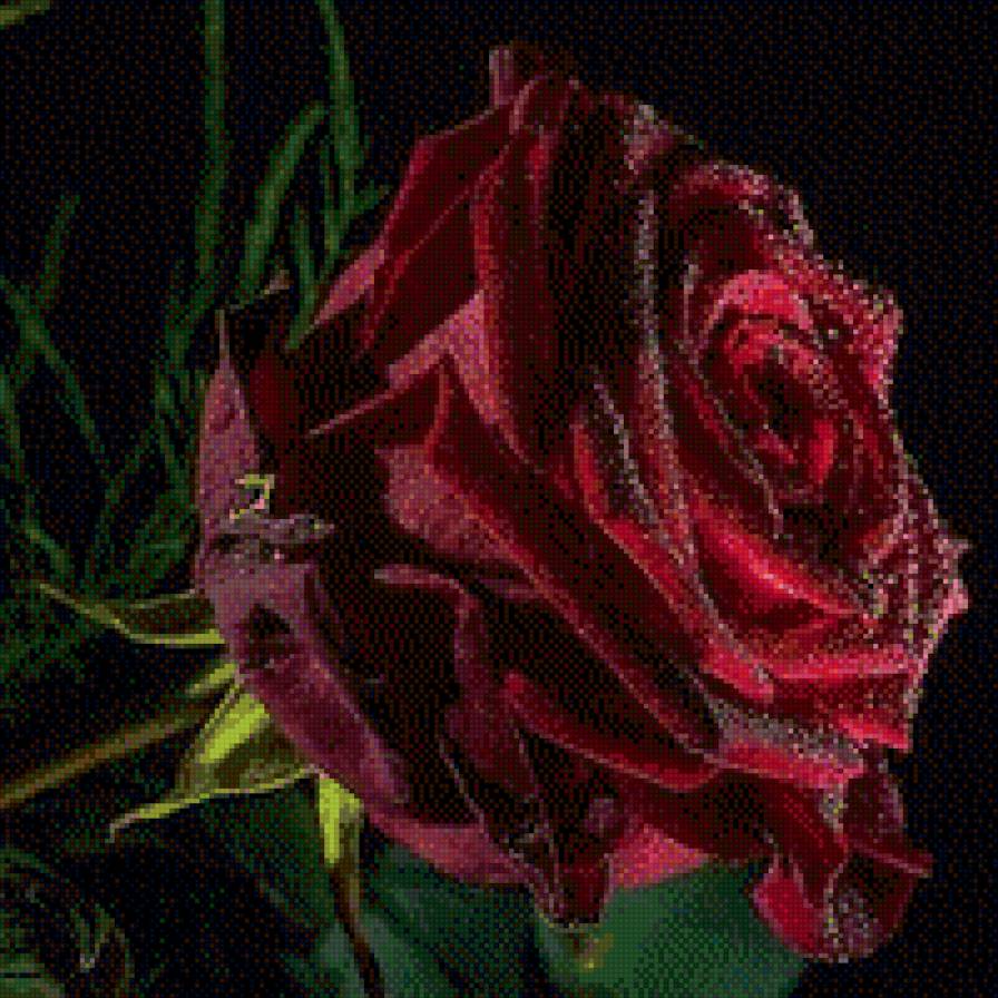 Roza - предпросмотр