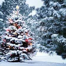 Схема вышивки «Елка в лесу.»