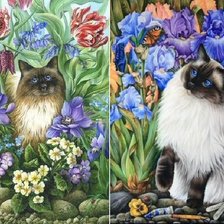 Схема вышивки «красавчики»