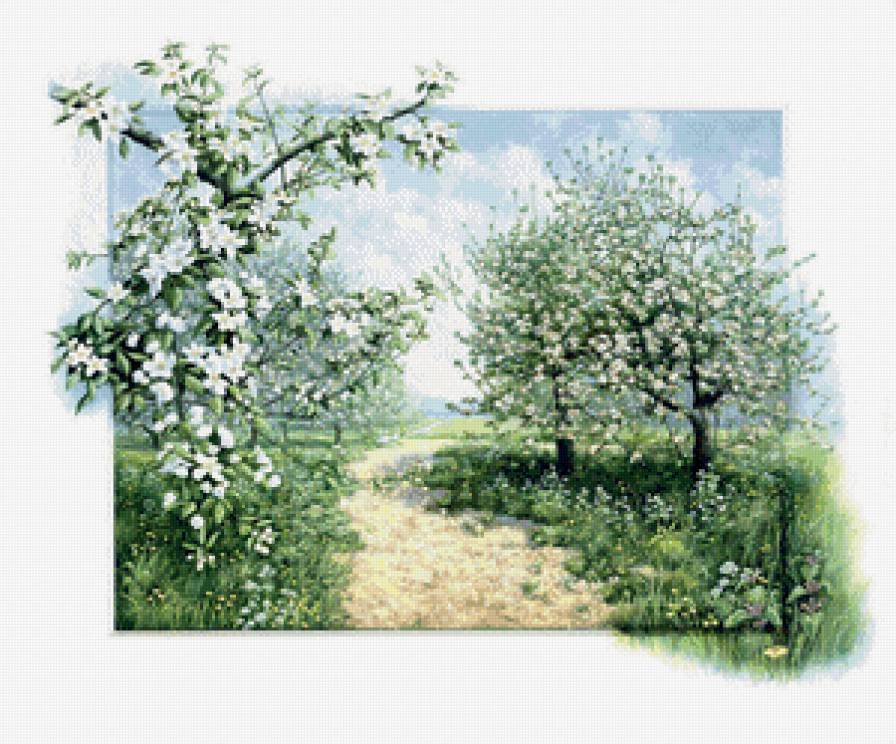 цветущая яблоня - весна, сад, цветы - предпросмотр