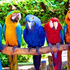 Схема вышивки «№913978»