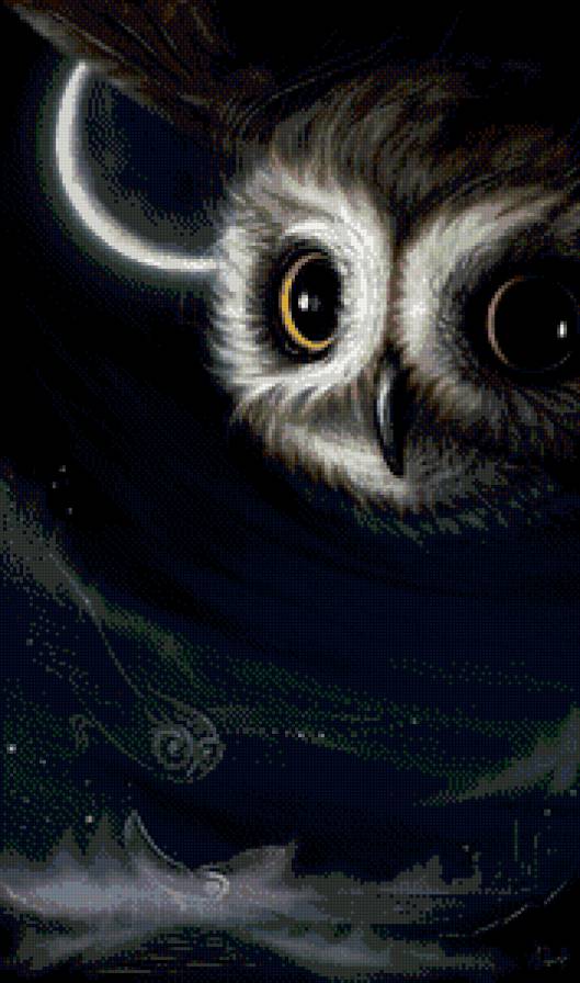 Сова - живитные, птицы, сова - предпросмотр