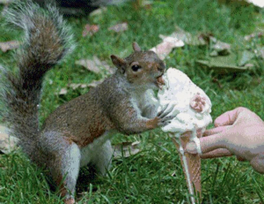 №913986 - предпросмотр