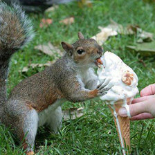 Схема вышивки «№913986»