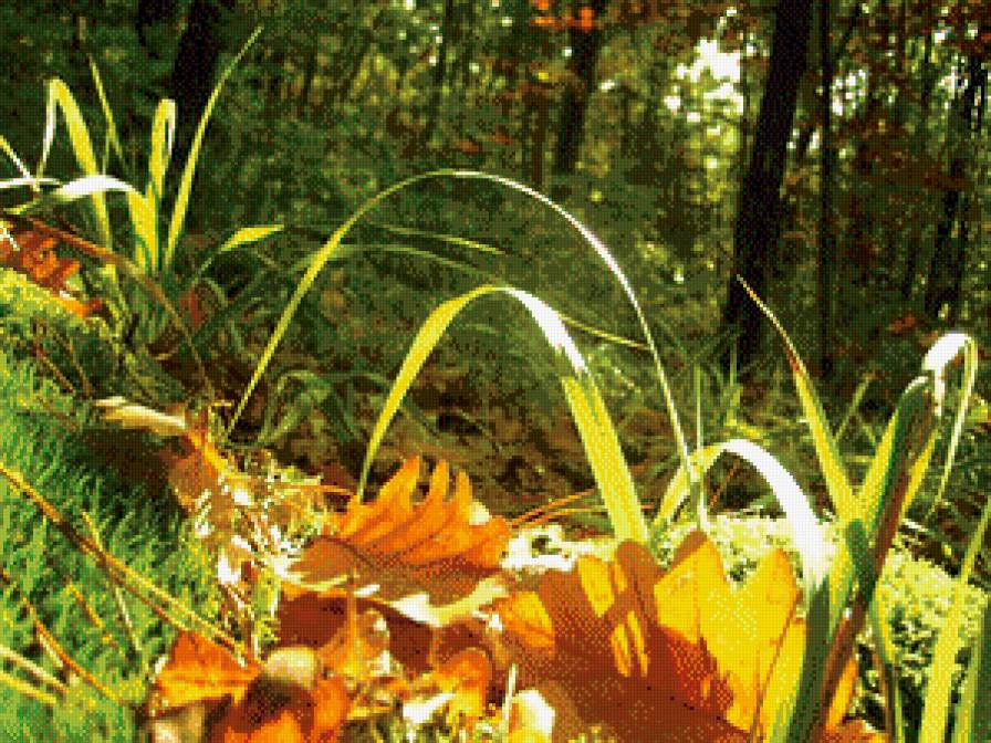 №913998 - предпросмотр