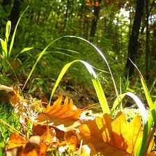 Схема вышивки «№913998»