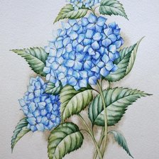 Схема вышивки «гортензия»