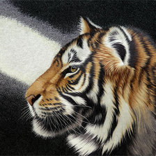 Схема вышивки «Тигр»