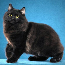 Схема вышивки «№914330»