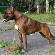 Схема вышивки «№914366»