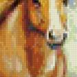 Предпросмотр схемы вышивки «пара лошадей» (№914446)