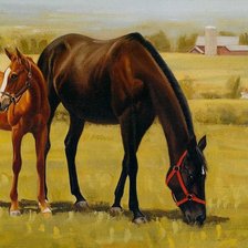 Схема вышивки «лошадь с жеребёнком»