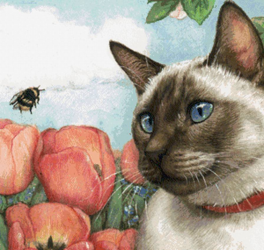 встреча - кот, коты - предпросмотр