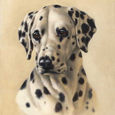 Схема вышивки «долматин»