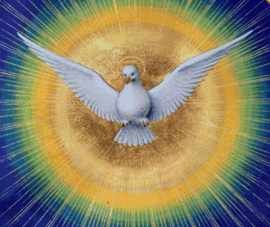 №914570 - предпросмотр