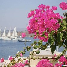 Схема вышивки «№914740»